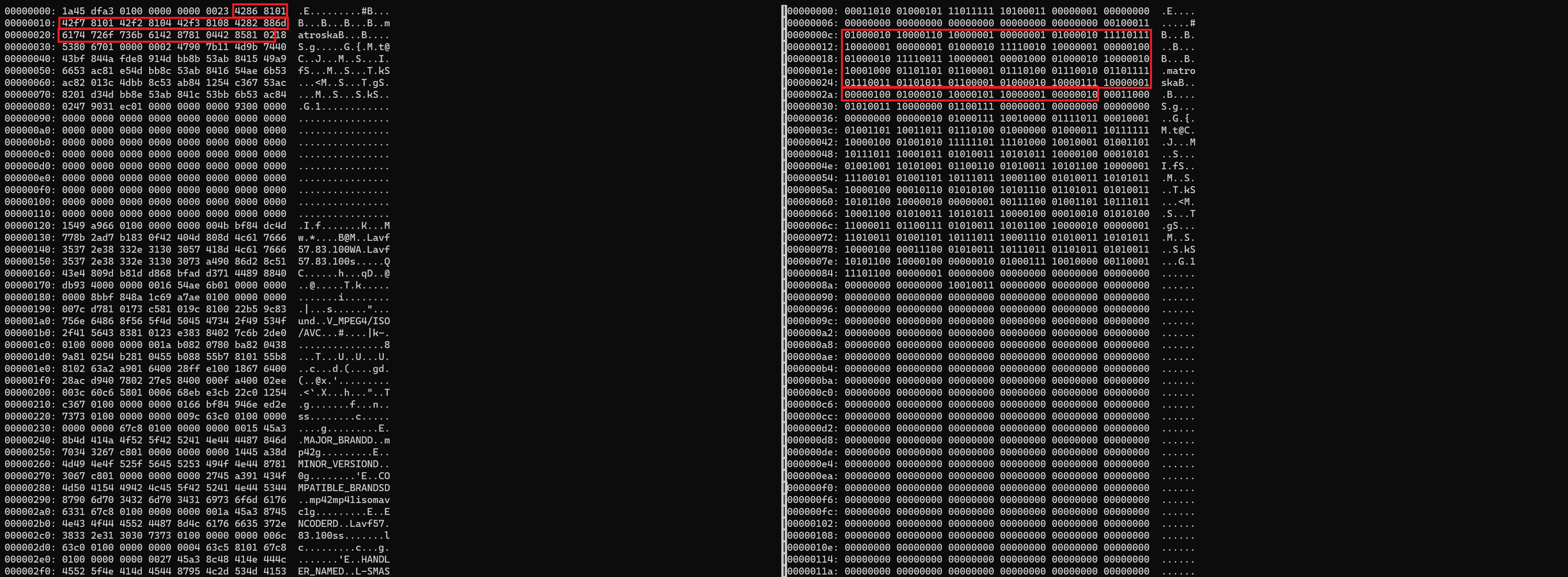 mkv_ebml_header_data